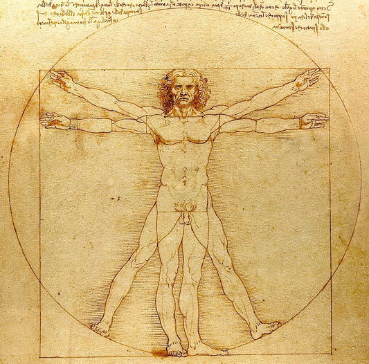 L’Homme de Vitruve de Léonard de Vinci : L’Harmonie entre Art et Science